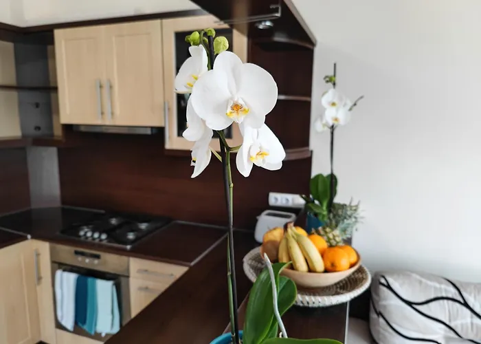 Csendes Bekes Belvarosi Lakas, Nagy Terasszal Apartmán